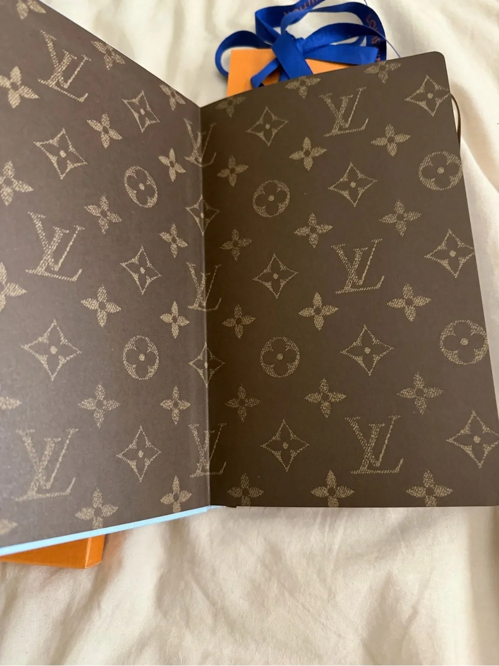 Louis Vuitton jane notebook